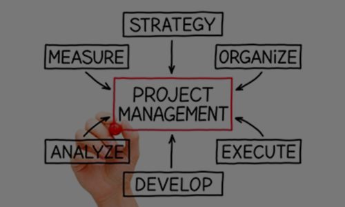 Project Management Programmes